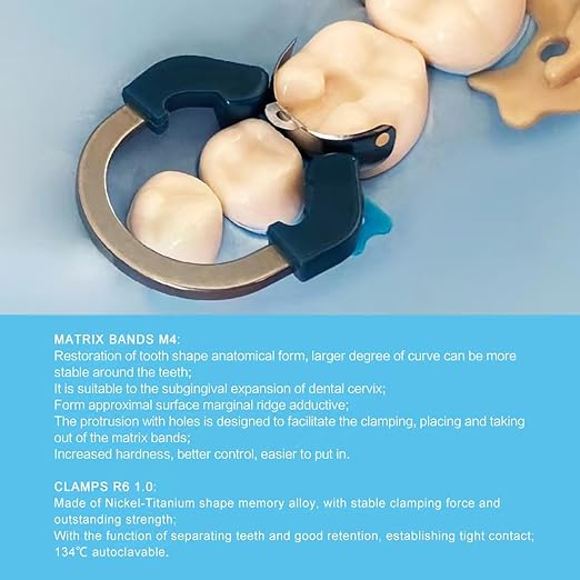 Dental Sectional Matrix Ring Clamp Spring Clip, Autoclavable Nickel Titanium Orthodontic Clamp Rings, Contoured Matrices System for Pre and Post Molars. (R6 QIANLV)