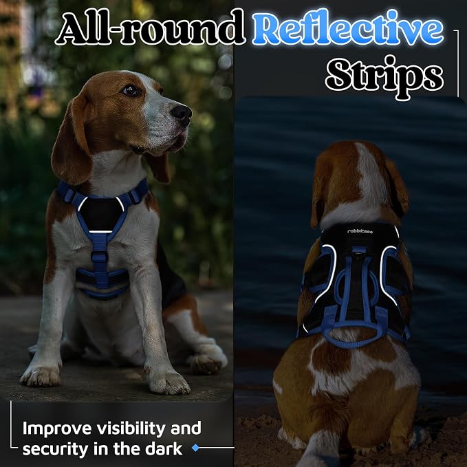 rabbitgoo Escape Proof Dog Harness for Small, No Pull with Lift Handle | No Escape, Full Soft Padded, Reflective Adjustable Vest, Leash Clip for Walking Hiking Training, Blue & Black, Small