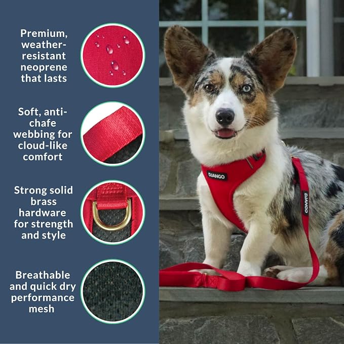 Adventure Dog Harness - Stylish and Durable Small Dog Harness for Outdoor Adventures and Everyday Wear - Red Neoprene Adjustable Harness for Dogs with Reflective Piping, Solid Brass D-Ring