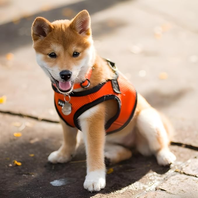 PUPPIA International Puppia Harness Soft B Vest Orange XLarge