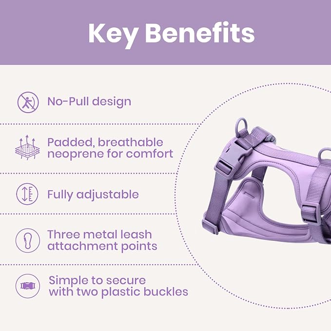 No Pull Dog Harness and Leash Set 3-in-1 Adjustable Anti Pull Dog Harness with Hands-Free Matching Leash,Poop Bag Holder,Easy Walk Dog Harness Extra Small Sized Dog(Lilac)