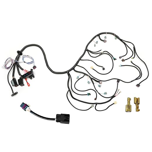 Standalone Wiring Harness 6.2 L, LS Swap, Fits 06-15 LS3 LS2 Vortec Engine | TR6060 T56 58X DBWZ, Stand Alone Wiring Harness, LS Wire Harness, Drive by Wire Throttle Body