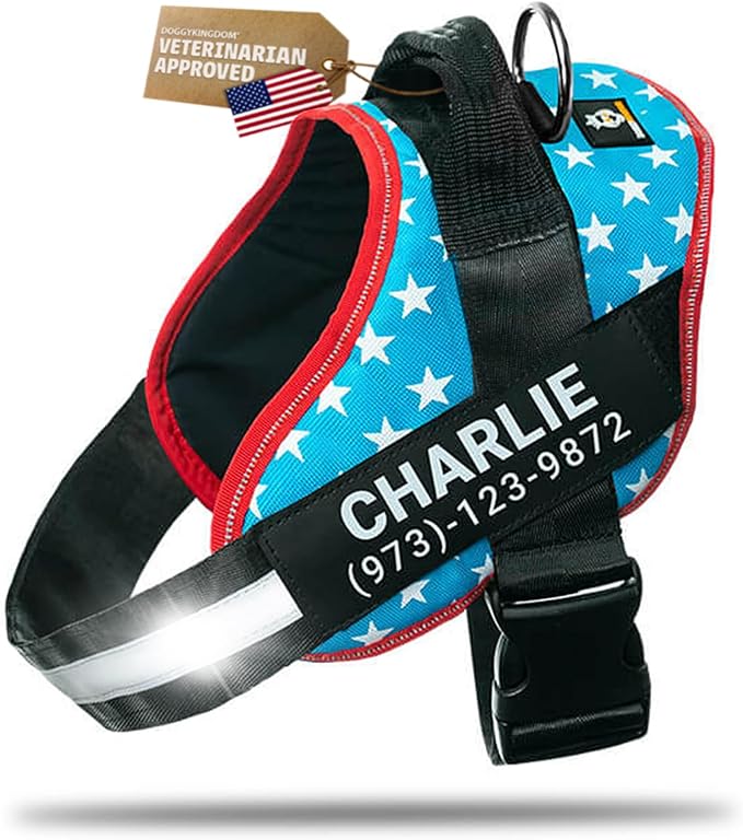 Personalized Dog Harness with Custom Name Patches, Adjustable Reflective No Choke Dog Vest with Handle for Small Dogs and Growing Puppy, Light Blue, XS
