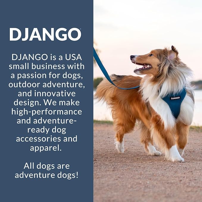Adventure Dog Harness - Stylish and Durable Small Dog Harness for Outdoor Adventures and Everyday Wear - Forest Green Neoprene Adjustable Harness for Dogs with Reflective Piping & Brass D-Ring