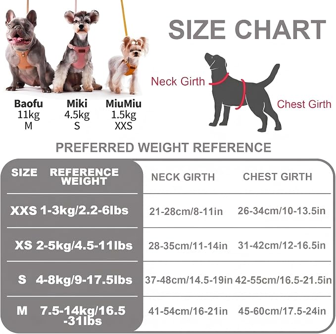 Puppytie XS Dog Harness and Leash Set, Silver Grey, XS (4.5-11 lbs) | Extra Small Dog Harness, Puppy Harness and Leash, Soft Lightweight and Adjustable, Xsmall Dog Harness for Daily Walks