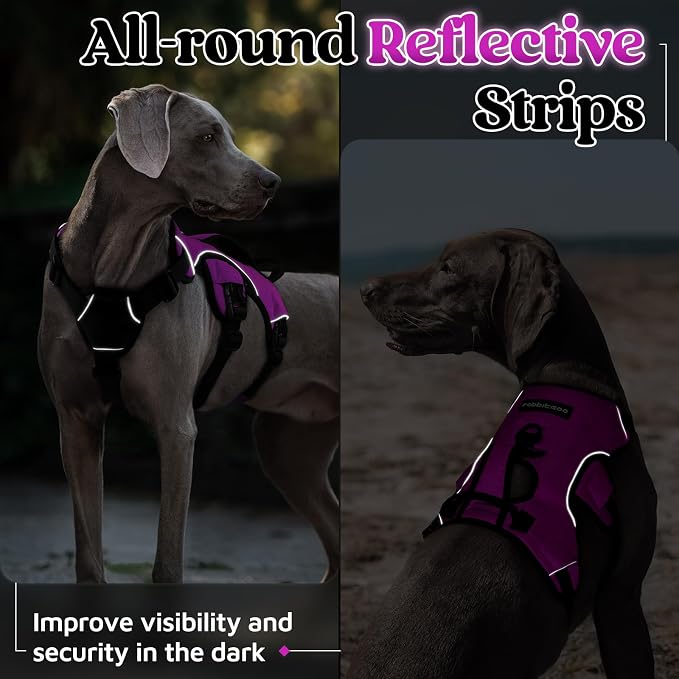 rabbitgoo Escape Proof Dog Harness for Medium, No Pull with Lift Handle | No Escape, Full Soft Padded, Reflective Adjustable Vest, Leash Clip for Walking Hiking Training, Purple, Medium