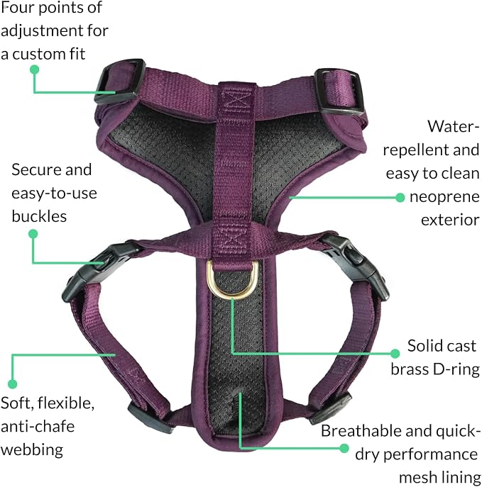 Adventure Dog Harness - Stylish, and Durable Medium Dog Harness for Outdoor Adventures and Everyday Wear - Plum Purple Neoprene Adjustable Harness for Dogs with Reflective Piping, Brass D-Ring