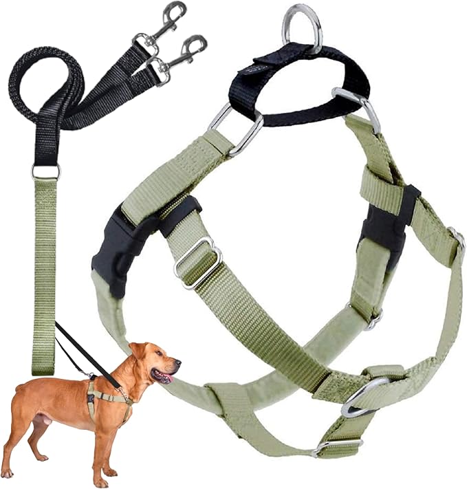 2 Hounds Design Freedom No Pull Dog Harness and Leash, 1" MD, Tan | Promotes Easy Walking & Comfortable Control, Secure Fit, Adjustable Harness and Leash Set for Medium Sized Dogs, Made in USA