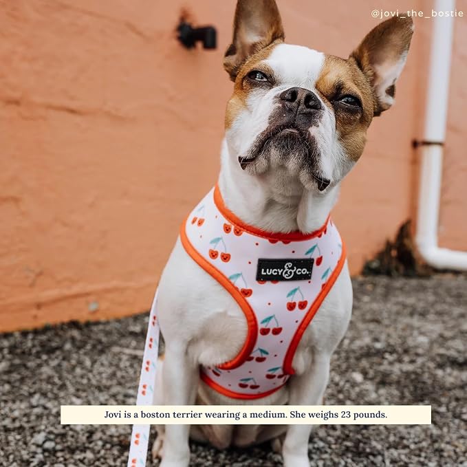 Lucy & Co. Reversible Dog Harness - Water-Repellent Neoprene, Dual-Print Design, Easy Swap Style, Adjustable Comfort Fit - Cheery Cherries Reversible Harness - Large