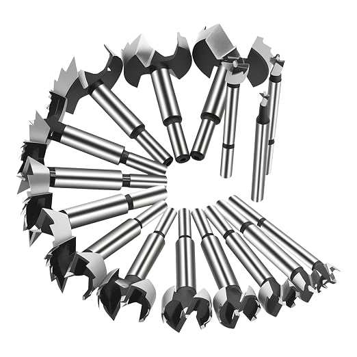 BeHappy Hex Shank Forstner Bit Set, 16pcs Multi Sided Shank Wood Drill bit Set for Woodworking, Auger Opener Round Shank Drilling Cutting Tool for Hardwood, Softwood, Plastic, Plywood