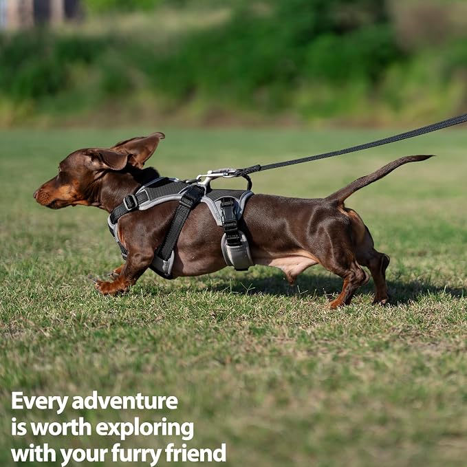 Escape Proof Dog Harness, Dachshund Harness, Reflective Dog Harness with Handle, Durable,Adjustable Vest for Small Medium Large Dogs Walking, Training, and Running Gear (Black,S)