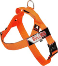 Adjustable Dog Harness– No Pull, No Choke – for English Bulldogs, French Bulldogs, Pugs & Broad-Chested Breeds – Easy, Safe Walks (NEON Orange, Medium)