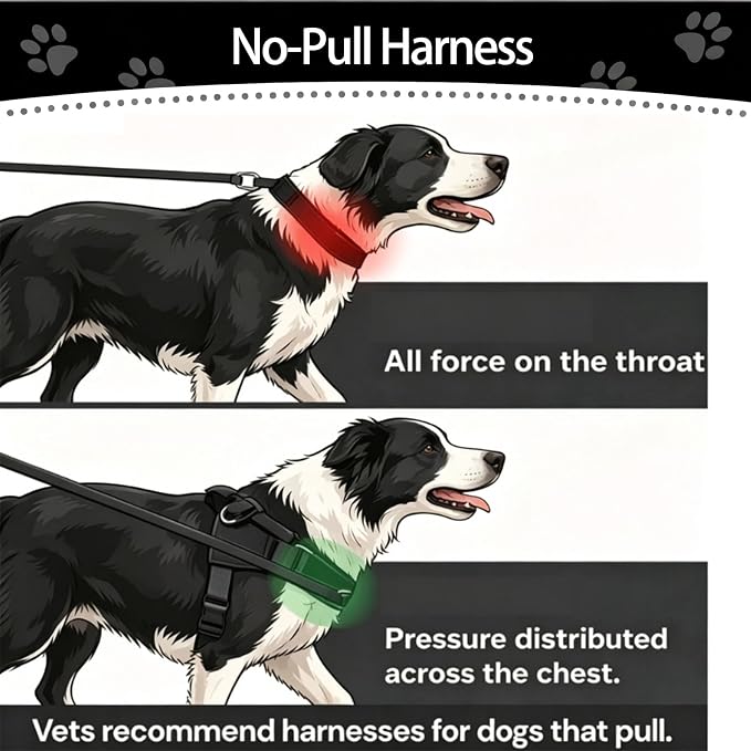Pawly Lab Co No-Pull Harness,No Pull Dog Harness with Soft Padded Handle | Reflective Adjustable Breathable Mesh Pet Vest,Easy On-Off Soft Padded Harness,Easy for Training Walking for dogs of all size