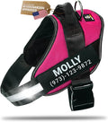 Personalized Dog Harness with Custom Name Patches, Adjustable Reflective No Choke Dog Vest with Handle for XXL Dog, Rose Red, 2XL