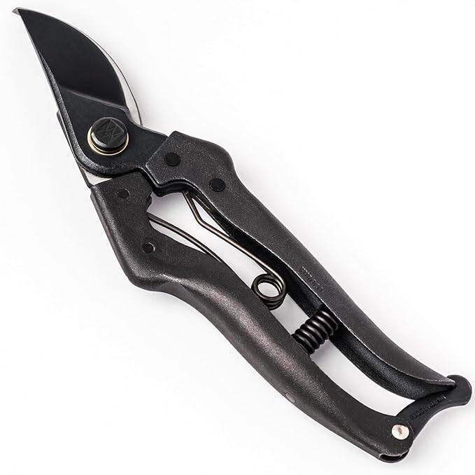 Wablade Japanese Pruning Shears Made in Japan, 7.9 Inch Bypass Hand Pruner for Live Branches up to 0.59 Inch, Forged Alloy Steel Blade Garden Shears for Clean, Controlled Cutting (Cusion-Spring Model)