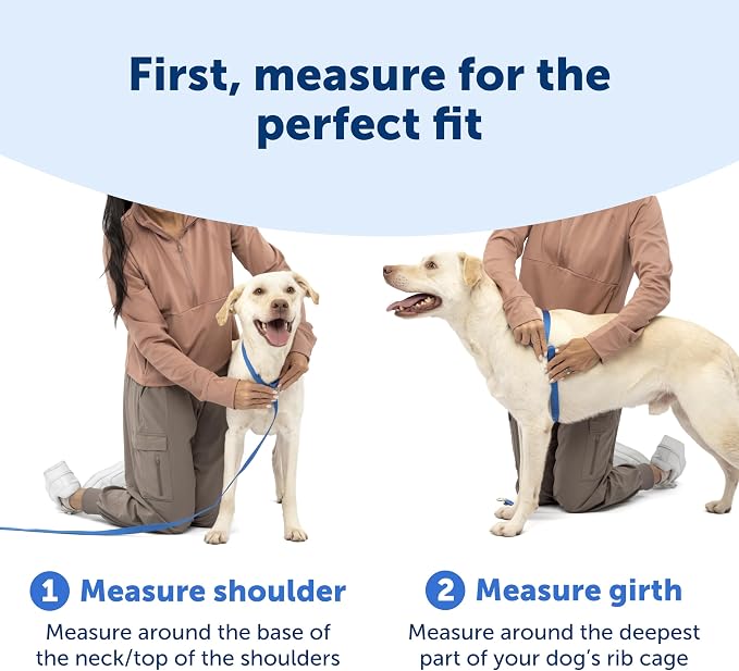 PetSafe Easy Walk Comfort No Pull Dog Harness, Blue, Large | Stops Pulling on First Use with Front Martingale Loop, Full-Body Padding, 5-Point Adjustable Fit
