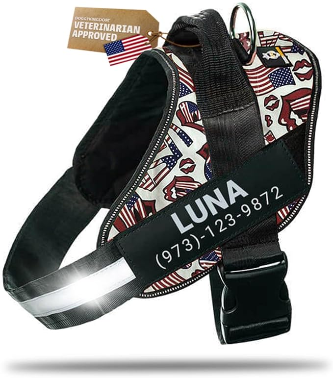Personalized Dog Harness with Custom Name Patches, Adjustable Reflective No Choke Dog Vest with Handle for XXL Dog, USA, 2XL