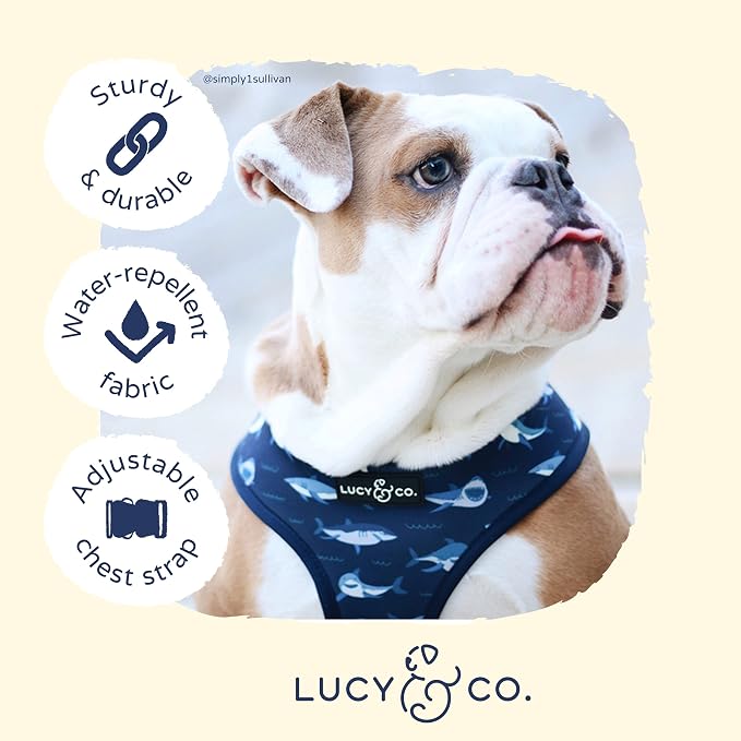Lucy & Co. Reversible Dog Harness - Water-Repellent Neoprene, Dual-Print Design, Easy Swap Style, Adjustable Comfort Fit - Shark Attack Reversible Harness - X-Small