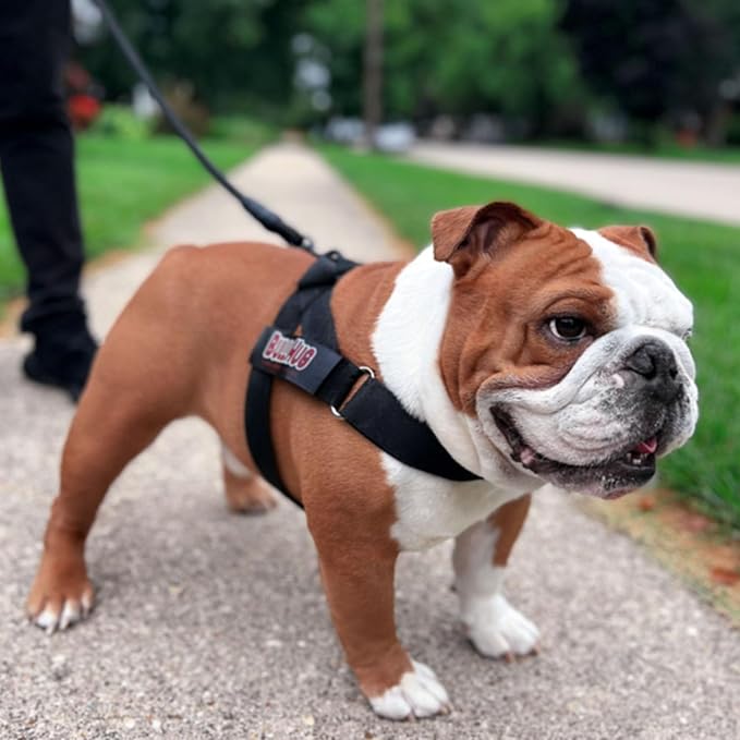 Adjustable Dog Harness– No Pull, No Choke – for English Bulldogs, French Bulldogs, Pugs & Broad-Chested Breeds – Easy, Safe Walks (Black, Medium)