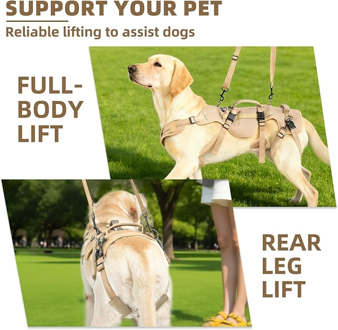 PUPTECK Dog Lift Harness for Medium Large Sized Dog, Rehabilitation Sling for Hind Leg Support, Multifunctional Mobility Assistance Harness for Old, Disabled, Joint Injuries, Paralysis Dogs, Brown M
