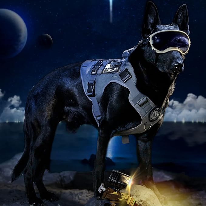 OneTigris Tactical Dog Harness No-Pull Service Vest for Small Medium Dogs | 1000D Pullable Nylon, with Control Handle and Hook & Loop Panels, Easy On & Off, Adjustable for Walking Training Gray M