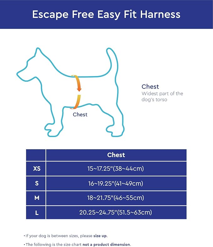 Gooby Escape Free Easy Fit Dog Harness, Step-in, Blue, Small | Patented escape-free frame; Contracts if they back out; Step-in easy on/off; Machine washable; Light POM leash ring