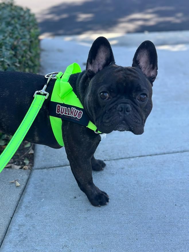 Adjustable Dog Harness– No Pull, No Choke – for English Bulldogs, French Bulldogs, Pugs & Broad-Chested Breeds – Easy, Safe Walks (NEON Green, Small)