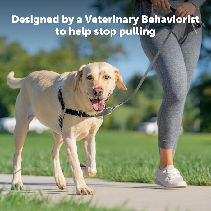 PetSafe Easy Walk Harness, No Pull Dog Harness, Large, Teal | Patented Martingale Loop Gives Gradual Shoulder Pressure to Stop Pulling, Front-Chest Leash Clip Prevents Gagging