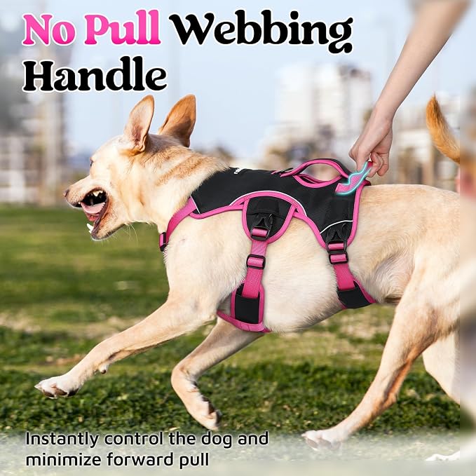 rabbitgoo Escape Proof Dog Harness for Medium, No Pull with Lift Handle | No Escape, Full Soft Padded, Reflective Adjustable Vest, Leash Clip for Walking Hiking Training, Rose & Black, Medium