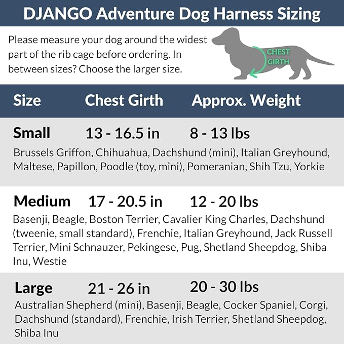 Adventure Dog Harness - Stylish and Comfortable Medium Dog Harness for Outdoor Adventures and Everyday Wear - Black Neoprene Adjustable Harness for Dogs with Reflective Piping and Brass D-Ring