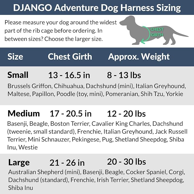 Adventure Dog Harness - Stylish & Durable Small Dog Harness for Outdoor Adventures and Everyday Wear - Pacific Blue Neoprene Adjustable Harness for Dogs with Reflective Piping, Brass D-Ring