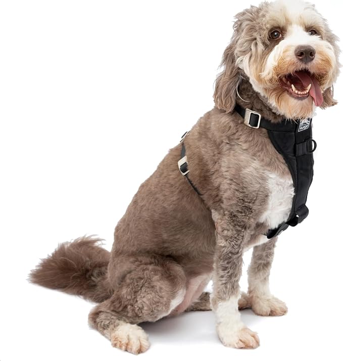 Kurgo Enhanced Strength Tru-Fit Smart Harness, Black, Large | Crash Tested Car Harness for Dogs up to 75Lbs, Seatbelt Tether & Steel Carabiner, All-Steel Buckles, Padded Chest for Comfort