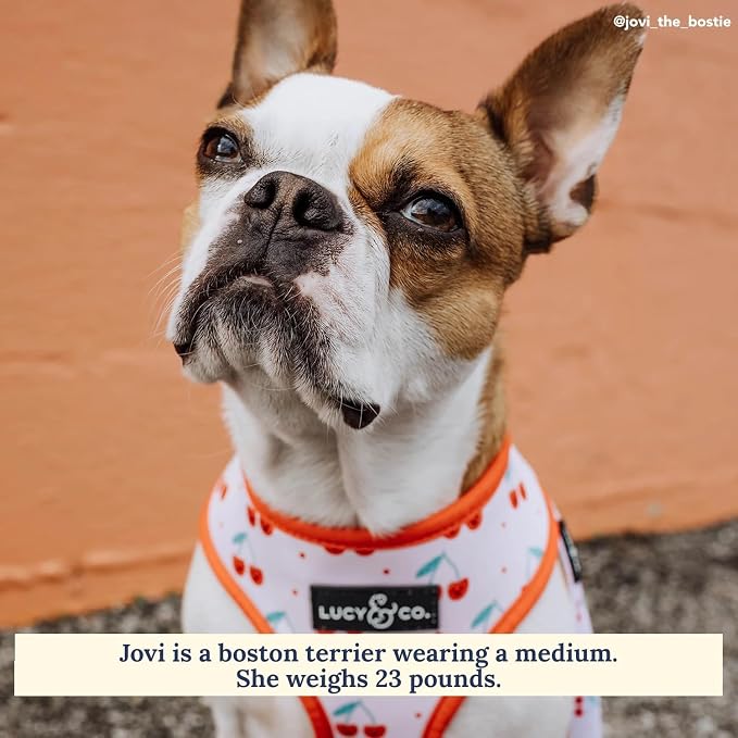 Lucy & Co. Reversible Dog Harness - Water-Repellent Neoprene, Dual-Print Design, Easy Swap Style, Adjustable Comfort Fit - Cheery Cherries Reversible Harness - Medium