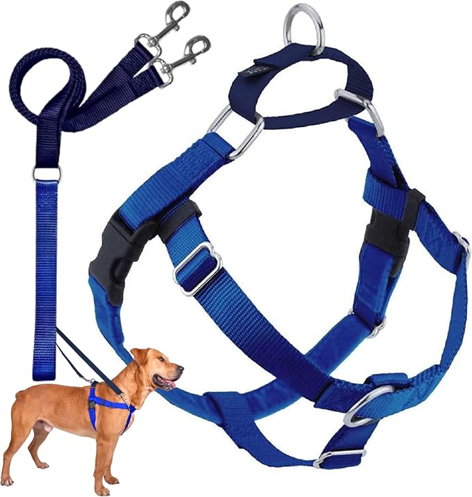 2 Hounds Design Freedom No Pull Dog Harness and Leash, 1" MD, Royal Blue | Promotes Easy Walking & Comfortable Control, Secure Fit, Adjustable Harness and Leash Set for Medium Sized Dogs, Made in USA