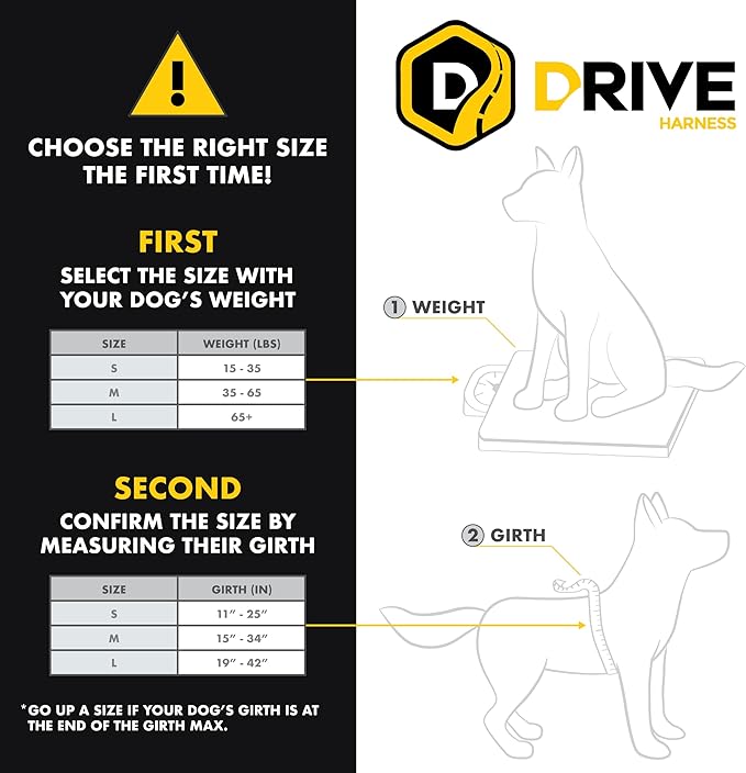 EzyDog Drive Dog Car Harness, Crash Tested and Certified - Medium | US-FMVSS 213 Certified Dog Seat Belt Harness, Adjustable, Padded Comfort Chest Plate, Dual Metal SR Buckles