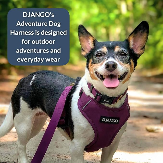 Adventure Dog Harness - Stylish, and Durable Large Dog Harness for Outdoor Adventures and Everyday Wear - Plum Purple Neoprene Adjustable Harness for Dogs with Reflective Piping, Brass D-Ring
