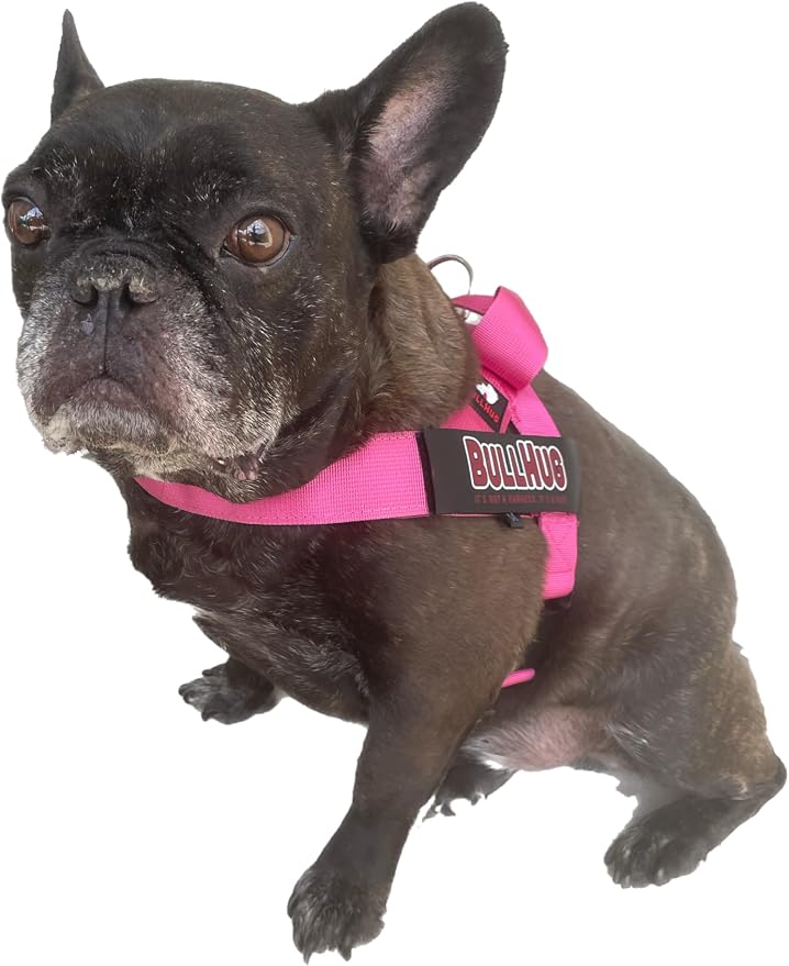 Adjustable Dog Harness– No Pull, No Choke – for English Bulldogs, French Bulldogs, Pugs & Broad-Chested Breeds – Easy, Safe Walks (Teal, Small)
