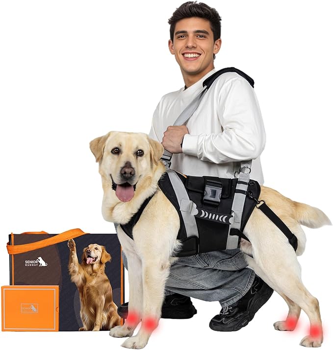 Dog Lift Harness for Large Dogs,Full Body Dog Sling Carrier, Black, XXL | Help Support Big, Elderly Pet with Arthritis, Front/Rear Legs Assistance with Handle, for Lifting Injured Dogs Up Stairs