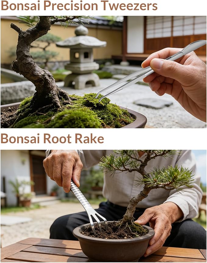Bonsai Tool Set 6PCS with Wood Box– Concave Cutter, Knob Cutter, Pruning Shears, Trunk Splitter, Root Rake & Precision Tweezers – Professional Stainless Steel Bonsai Tools for Pruning & Repotting