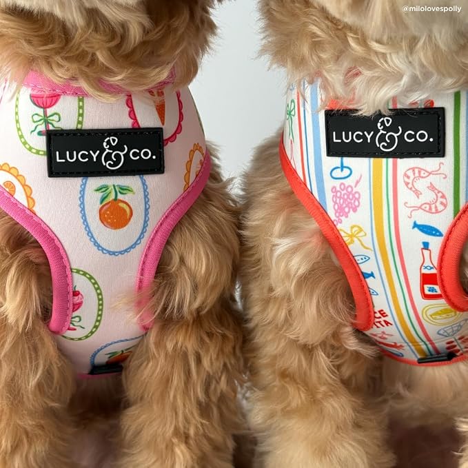 Lucy & Co. Dolce Vita Reversible Dog Harness, Adjustable Comfort Fit with Dual Leash Attachments, Large