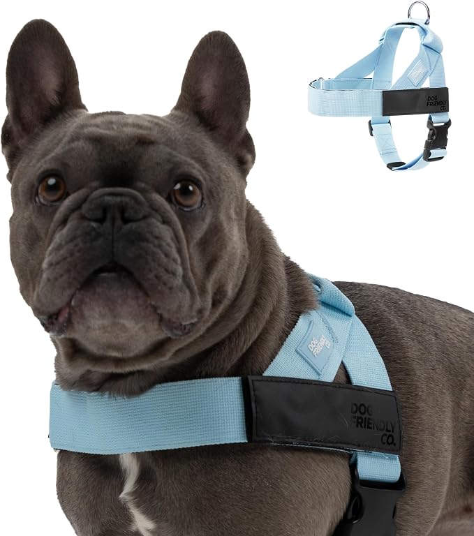 Dog Friendly Co. Dog Harness for Large Dogs (Sky Blue, Large) | One Click Buckle, Chafe Resistant Webbing, Adjustable Neck & Chest, and Heavy Duty D-Ring, Sturdy Comfortable and Easy to Use