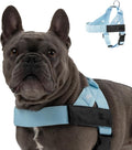 Dog Friendly Co. Dog Harness for Large Dogs (Sky Blue, Extra Large) | One Click Buckle, Chafe Resistant Webbing, Adjustable Neck & Chest, and Heavy Duty D-Ring, Sturdy Comfortable and Easy to Use