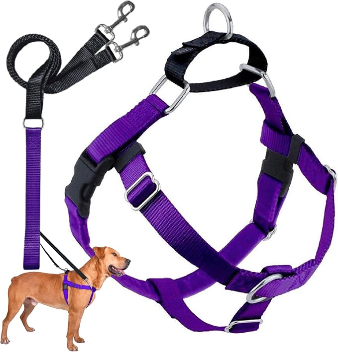 2 Hounds Design Freedom No Pull Dog Harness and Leash, 1" MD, Purple | Promotes Easy Walking & Comfortable Control, Secure Fit, Adjustable Harness and Leash Set for Medium Sized Dogs, Made in USA