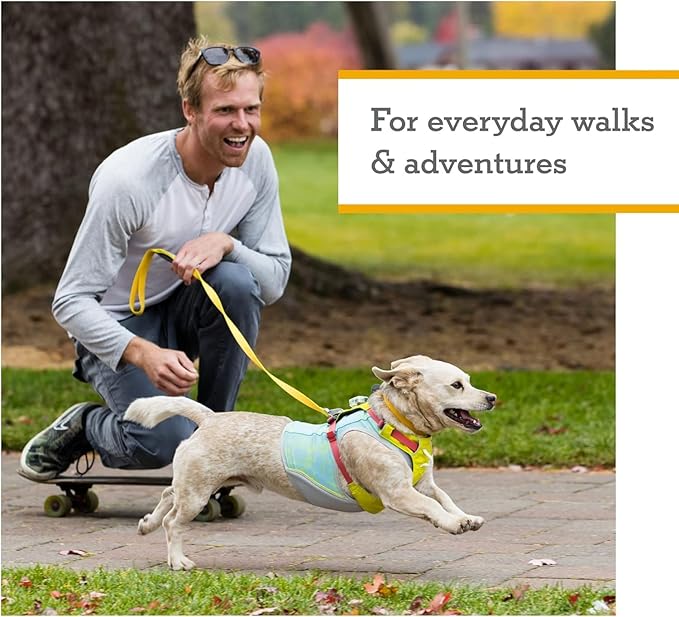 Ruffwear, Hi & Light, Everyday Lightweight Dog Harness, Trail Running, Walking, Hiking, All-Day Wear, Lichen Green, Small