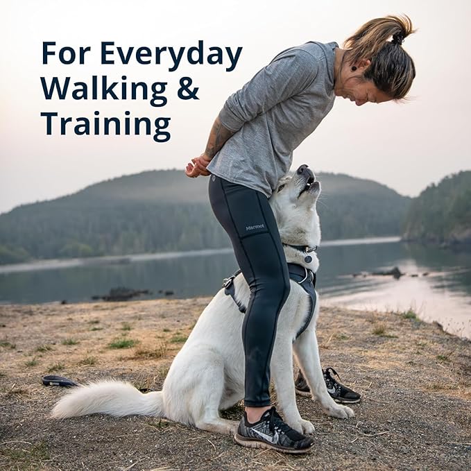 Ruffwear, Front Range Dog Harness, Reflective Soft Padded Everyday Harness with Dual Leash Clips, Adjustable and Lightweight Fit for Training or Walking for All Dogs, Pink Mountains, Large/X-Large