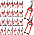 36 Pcs Straight Pruning Shears Florist Multi-tasking Garden Scissor Leaf Trimmer Floral Fruits Picking Sharp Gardening Snips for Arranging Flowers Harvesting Herbs Fruits Vegetables