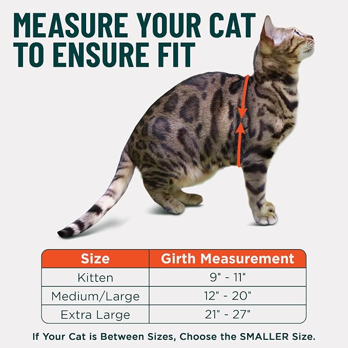 Houdini™ Escape Proof Cat Harness and Leash (Turquoise, XL) | Adjustable walking vest with 6ft lead, breathable mesh, secure snug fit, lightweight for travel, hikes and daily adventures