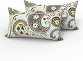 LVTXIII 2 Pack Outdoor Lumbar Pillows 12x20 Inch with White Piping, Fade Resistant Support Throw Pillows with Inserts for Patio Furniture, Sofa, Chair, Paisley Light Cyan