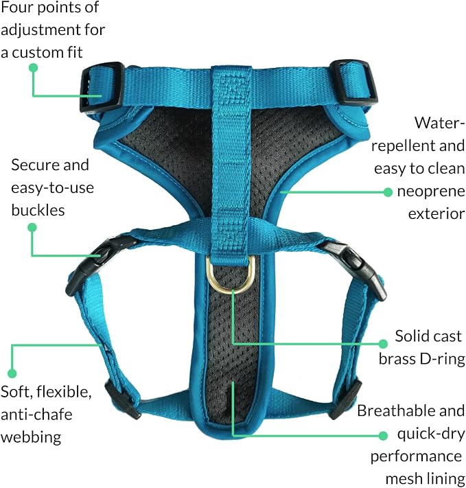 Adventure Dog Harness - Stylish & Durable Large Dog Harness for Outdoor Adventures and Everyday Wear - Pacific Blue Neoprene Adjustable Harness for Dogs with Reflective Piping, Brass D-Ring