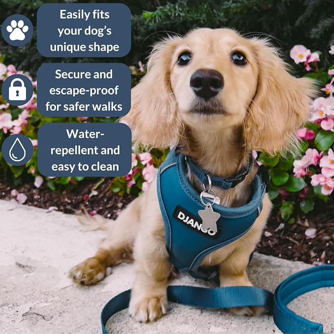 Adventure Dog Harness - Stylish and Durable Large Dog Harness for Outdoor Adventures and Everyday Wear - Indigo Blue Neoprene Adjustable Harness for Dogs with Reflective Piping & Brass D-Ring